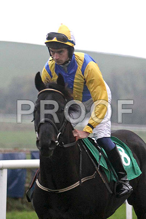 Koko Lane , Winner , Jockey - Mr P W Mullins - FT8E5531-e