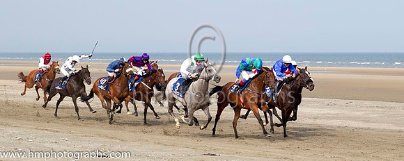 1 Our Max and S Foley - - 1st (3 ,white, emerald green large spots ) Trainer - Patrick Martin
