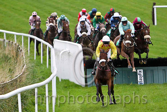 Brer Rabbit , Jockey S E Butler in the lead - Fell - CU2D2256-e