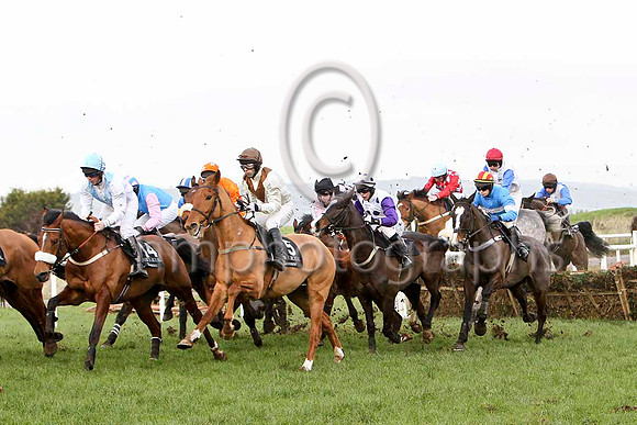 Wantanamore Bay & Mr P J Cosgrave - 9th - FT8E9173-e