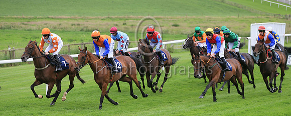 01st Diamondinthemud (5 , light blue, red star ) Jockey: Conor Orr , Trainer: Nigel Thomas Slevin