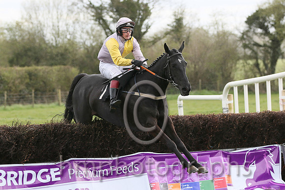 01st CHELATE and J A Kinsella ( 1 , MAUVE  YELLOW HLVD; mauve sleeves; mauve cap,yellow star ) Trainer: P.J. Rothwell,, Owner : P.J. Rothwell
