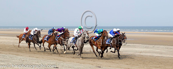 1 Our Max and S Foley - - 1st (3 ,white, emerald green large spots ) Trainer - Patrick Martin