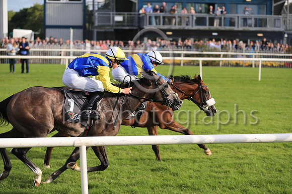 01st Lisard Lady  Wayne Lordan (13, royal blue, yellow hoop) Trainer Thomas Cooper, Owner Thomas Cooper