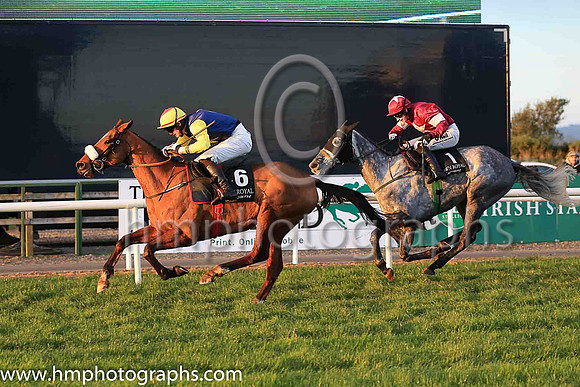 01st Runfordave and Mr L J McGuinness ( 6 , dark blue, yellow diamond ) Trainer - G Elliott , Owner - Mrs P Sloan