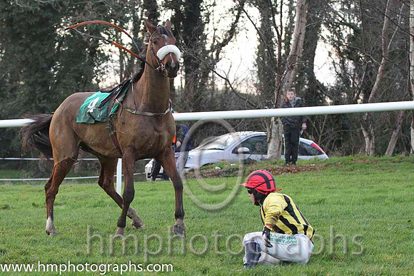 10 FergieTheLegend & Mr J P McKeown - Fell (4, black and yellow stripes ) - FT8E1492-33