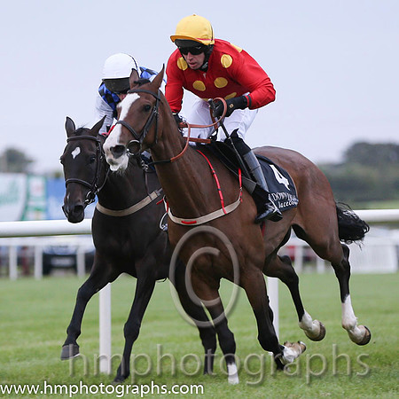 01 Our Sox and Mr S Clements - - 01st (4 ,red, yellow stars ) "