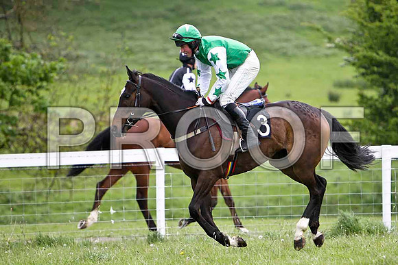 Business Time , 6th, Jockey D L Queally - FT8E2381-e