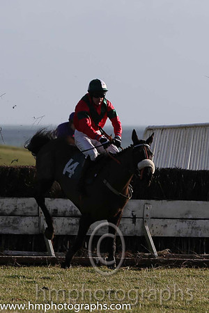 09 Nancy's Trix (14)  M O'Hare - PU Trainer : Dermot McLoughlin, Red, green chevron