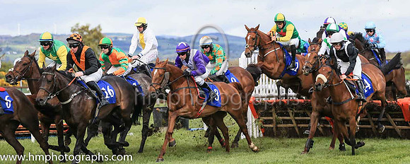 01st Shantou Lucky and Reserve 2 ( 21 , green, red star ) Trainer - G P Cromwell , Owner - Lucky Seven Syndicate