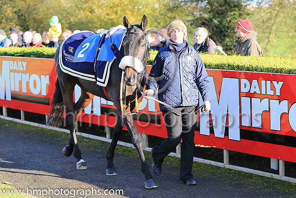 03rd Lord Scoundrel and K M Donoghue ( 2 , maroon, white star, white cap ) Trainer - G Elliott , Owner - Gigginstown House Stud