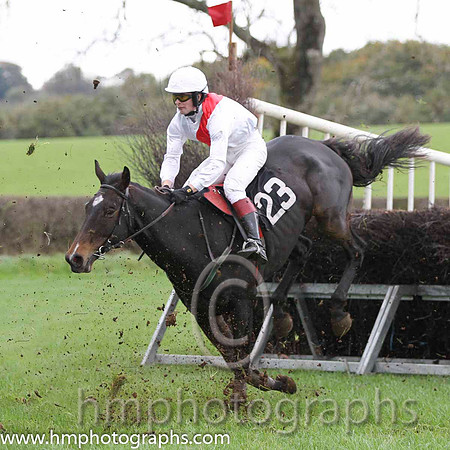 03 Gold Opera & G L Murphy - 3rd (25, red and white qtrd) - FT8E9378-Edit-75