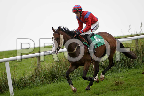 Full of Trix , Jockey S W Jackson - 10th- CU2D2282-e