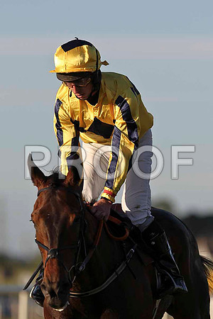 Battlehill 7th, Jockey M W Bowes - FT8E1142-e