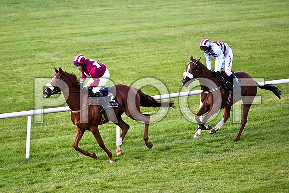 Georgie 4th, Jockey T G M Ryan ,& Soldier Bay 5th, Jockey A E Lynch - CU2D2037-e