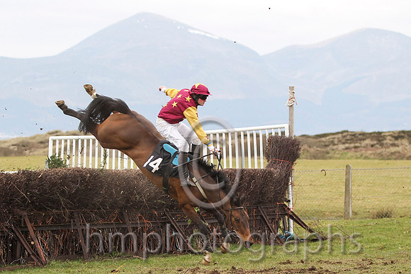 06 - She'll Tell Meda & J Cresswell - Fell (14, maroon, gold stars ) - FT8E0808-1