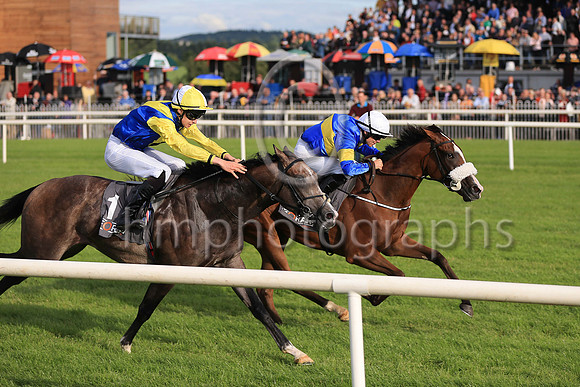02nd Darkolva  Donnacha O'Brien (1, royal blue, yellow chevron) Trainer Joseph Patrick O'Brien, Owner J Carthy