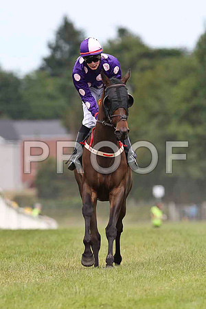 Pittori 4th, Jockey D E Mullins - FT8E1509-e