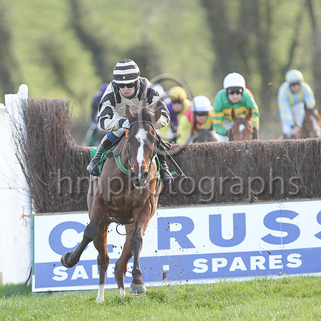 01st Springfield Lodge  and J C Gainford7 ( 13 , beige, black epaulettes ) Trainer - E OGrady , Owner - Falcon Four Syndicate