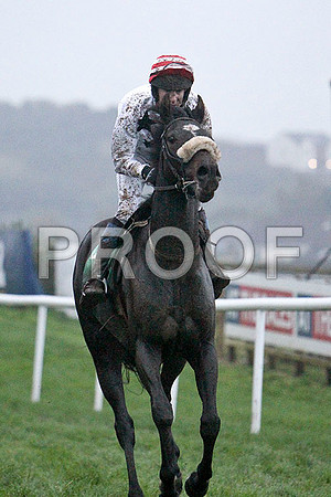 Ironmill Lad , 2nd, Jockey - Mr J T Carroll -FT8E5601-e