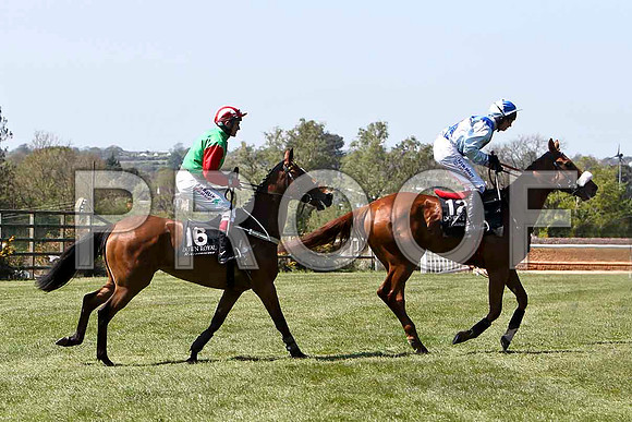 Wheatfield 11th, Jockey J L Cullen & Doux Douce 2nd, Jockey P Carberry - FT8E2114-e