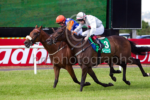 Celtic Dane (Orange Cap),  Jockey C D Haynes wins the Specsavers 2 For 1 Ulster Derby beating Northgate (Grey red star), Jockey P J Smullen - CU2D0256-e33a4j