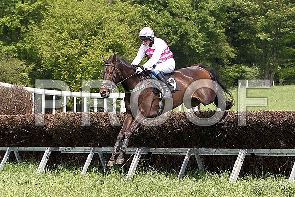 First Race - On the Arthur (9) 2nd - CU2D9518-e