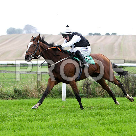 Cyrus , 6th , Jockey I J McCarthy  - FT8E5168-e