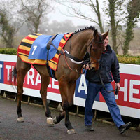 Crude - Jockey R Loughran - 10th - CU2D1768-e