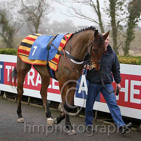 Crude - Jockey R Loughran - 10th - CU2D1768-e