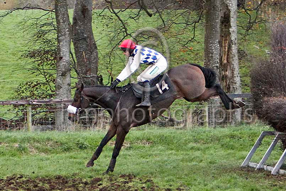 Casson , Winner - Jockey Derek O'Connor - FT8E6371-e3