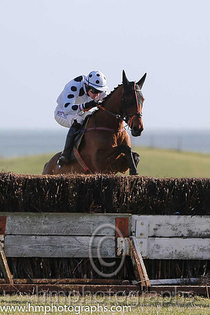 06 Bawnogues Bahri (8)  J C Barry - PU Trainer : Paul Stafford, White, three black spots