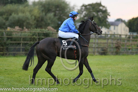08 Rocking Bishop and Mr A H Wells - - 08th (5 ,blue, black stars ) "