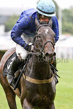 Chilledbelowzero & B T O'Connell - 8th (3, royal blue, light blue star) - FT8E5136-e
