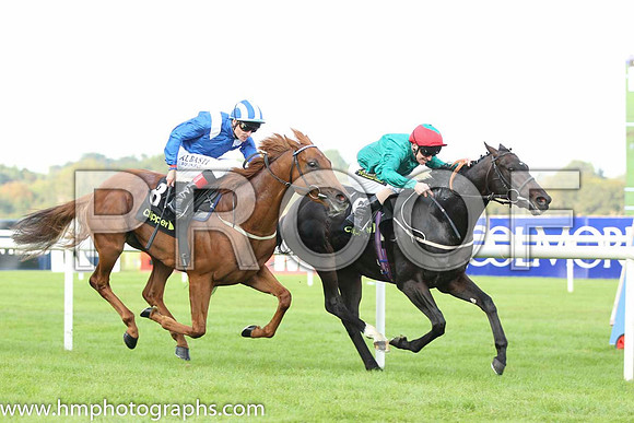 02 Mustajeeb and P J Smullen - - 02nd (8 ,royal blue, white epaulettes ) Trainer -   01 Bow Creek and J Fanning - - 01st (6 ,dark green, red cap ) Trainer - M Johnston
