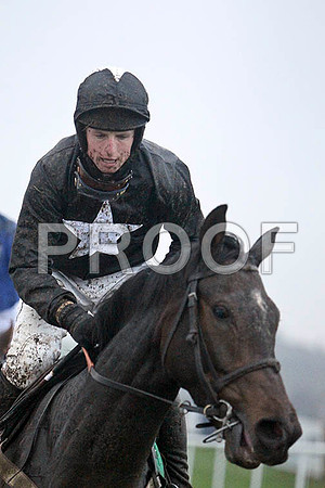Noble Pageant, 5th, Jockey Mr J J Codd - FT8E5614-e