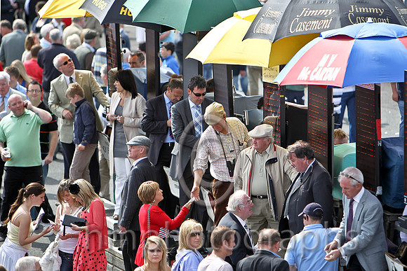 The betting ring -  - CU2D1682-e2