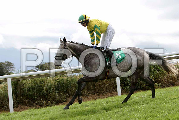 Black Rock Lake - Winner, Jockey P Townend - FT8E3880-e