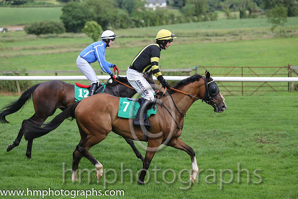 02 Lucky Pigeon & K C Sexton - 2nd (12, blue, white seams)) & 08 Josam & B Hayes - 8th (7, yellow. black panel) - - AA1V0886