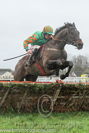 01 Gold Not Silver & D N Russell - winners (8, emerald green) - CU2D0679-2