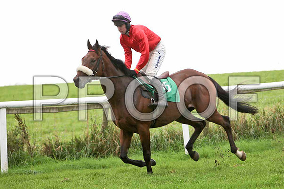 Barndeh , Jockey A E Lynch - 13th - CU2D2300-e