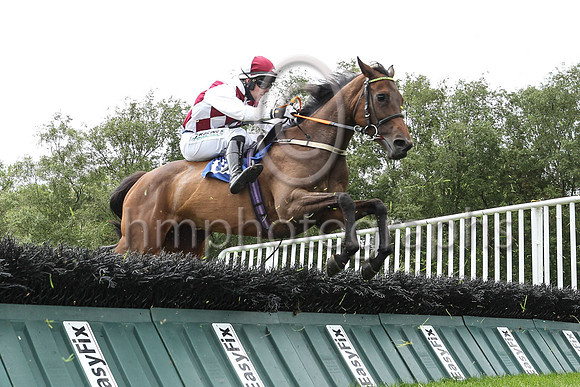 08th Shiroccoville  ( 12 , maroon  white diamonds ) Trainer - P Croke , Owner - Peter Croke