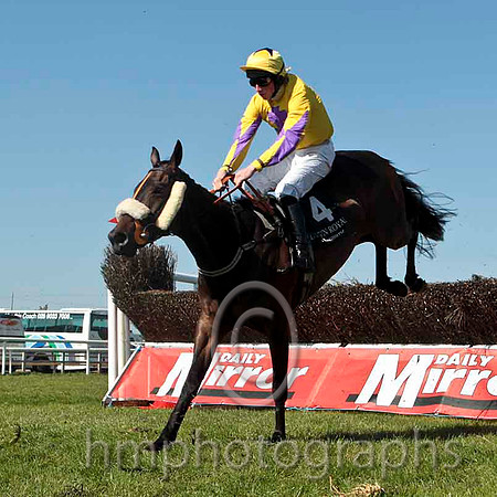 Busy Monkey - PU, Jockey Mr M P Fogarty -CU2D4742-e