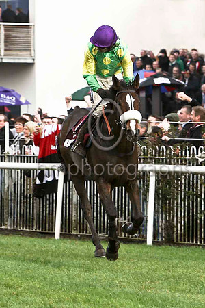 Kauto Star , Jockey Ruby Walsh - Winner - CU2D1117-e3