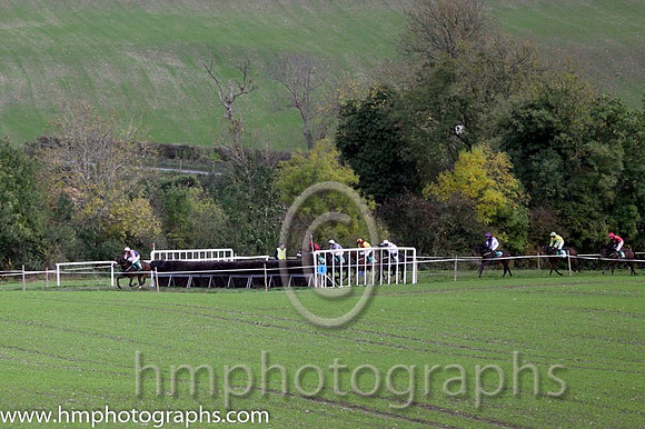 Race 5 County Down Hounds P2P at Loughbrickland
