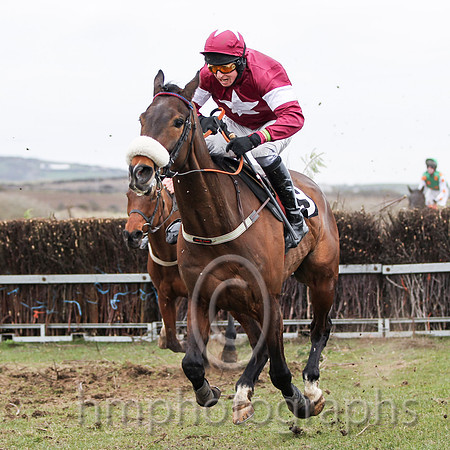 Once and Always & J J Codd - joint winner (29, maroon, white star )FT8E0965-9