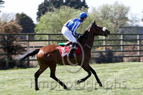 Watermelon 5th, Jockey E J O'Connell - FT8E2142-e