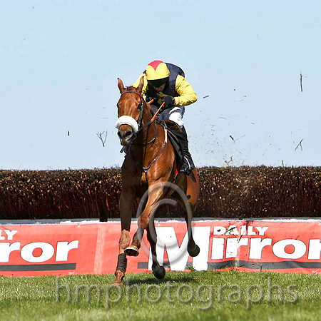 Cottage Oak - Winner, Jockey P Carberry  -FT8E2199-e