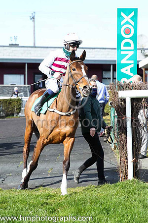 02nd Gelee Blanche and P Townend ( 7 , white  and maroon hoops ) Trainer - W P Mullins , Owner - Tiger Tail Again Syndicate