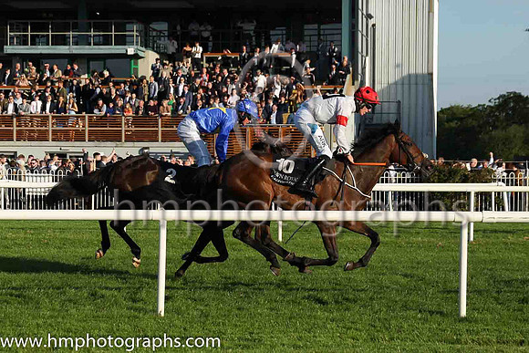 04th Jumping Susie and B.W. Harvey(7) (10 ,white, black hollow box ), Trainer:John C. McConnell , Owner:The 119 Partnership